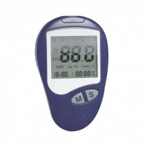 Digital Blood Glucose Monitoring System