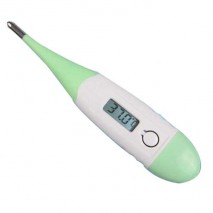 Oral digital thermometer