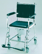 Mobile Steel Commode