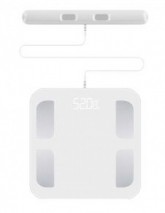 Smart electronic body composition scale